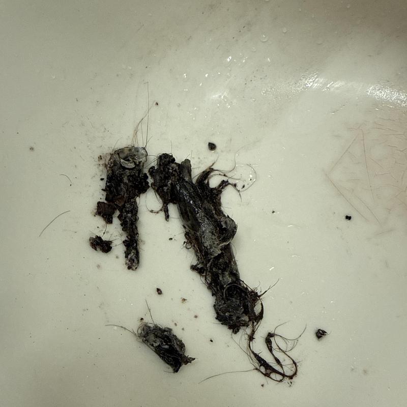 Basin drain debris removed during plumbing service Basin drain debris removed during plumbing service