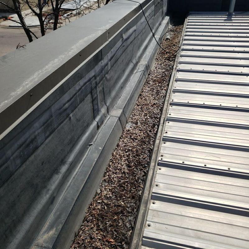 Metal roof gutter clogged with leaves and debris