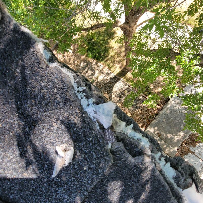 Shingle roof edge with tree damage and repairs Shingle roof edge with tree damage and repairs