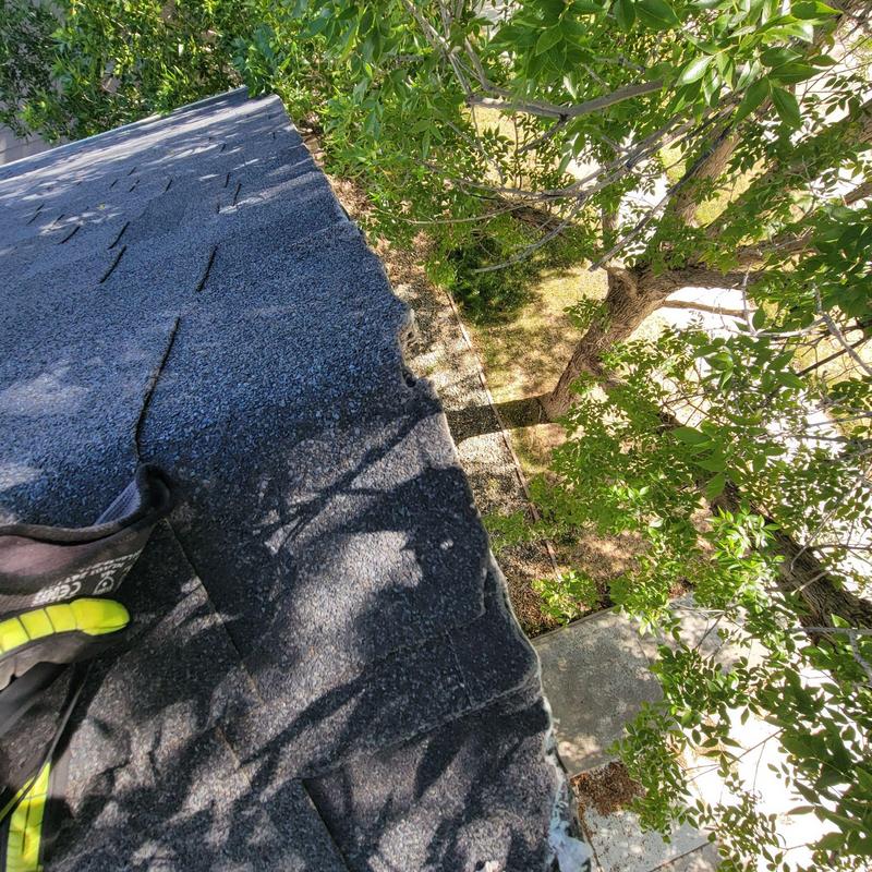 Shingle roof edge with tree branch damage in Brighton, CO Shingle roof edge with tree branch damage in Brighton, CO