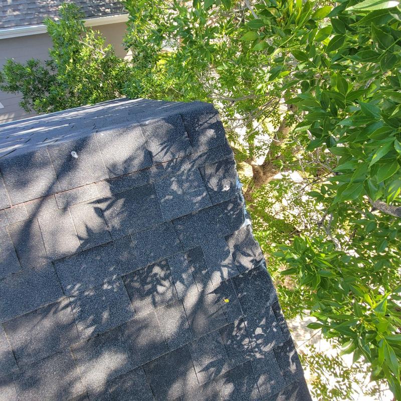 Shingle roof corner with tree branch damage and nails Shingle roof corner with tree branch damage and nails