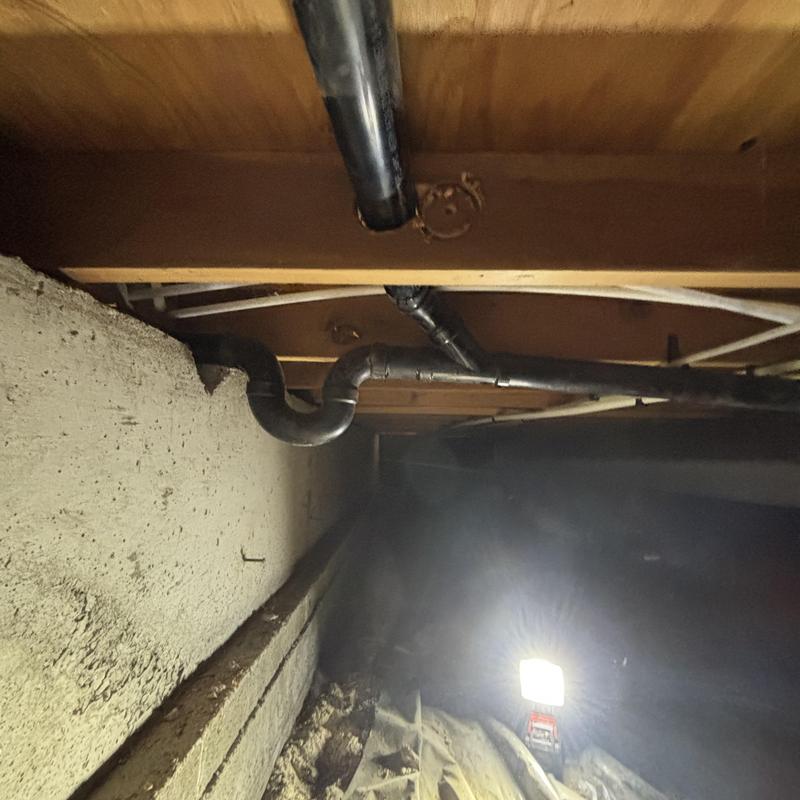 Dog wash station plumbing lines under floor joists