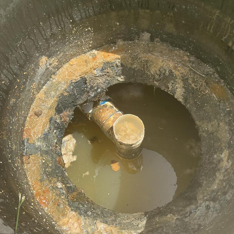 Septic tank effluent filter with buildup and water Septic tank effluent filter with buildup and water