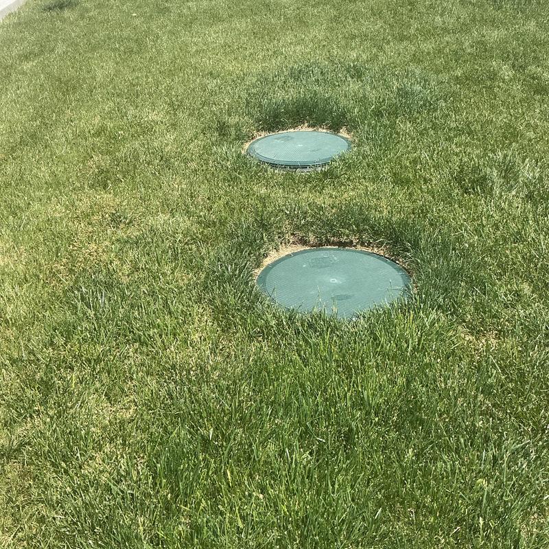 Septic tank outlet effluent filter covers in grass Septic tank outlet effluent filter covers in grass