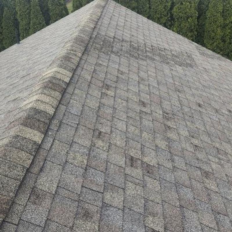 Asphalt shingle roof surface with visible stains and wear