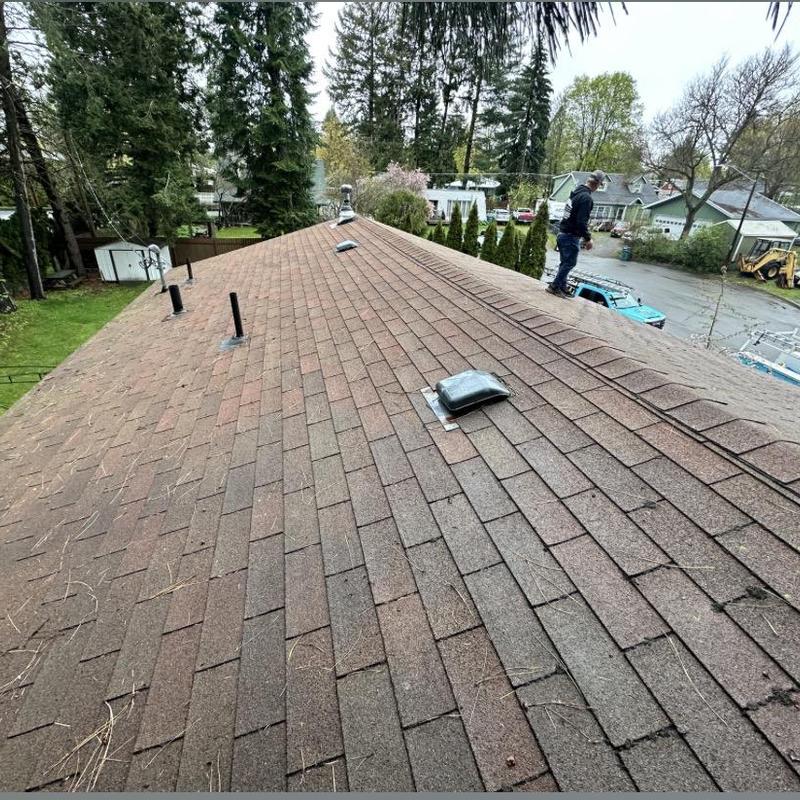 Asphalt shingle roof inspection with vents and pipes Asphalt shingle roof inspection with vents and pipes