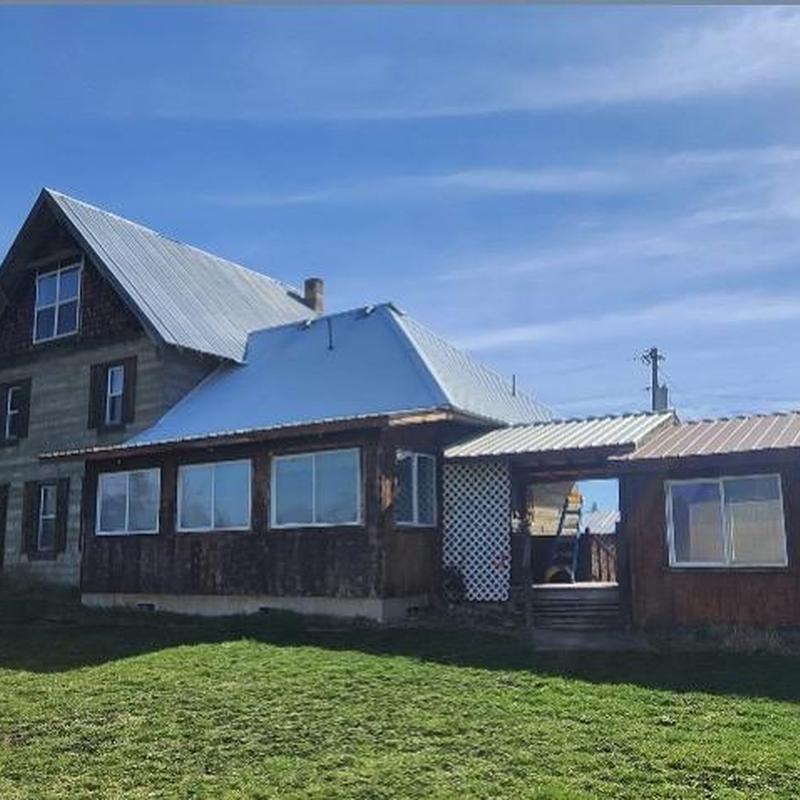 House siding and roof inspection for bird entry points House siding and roof inspection for bird entry points