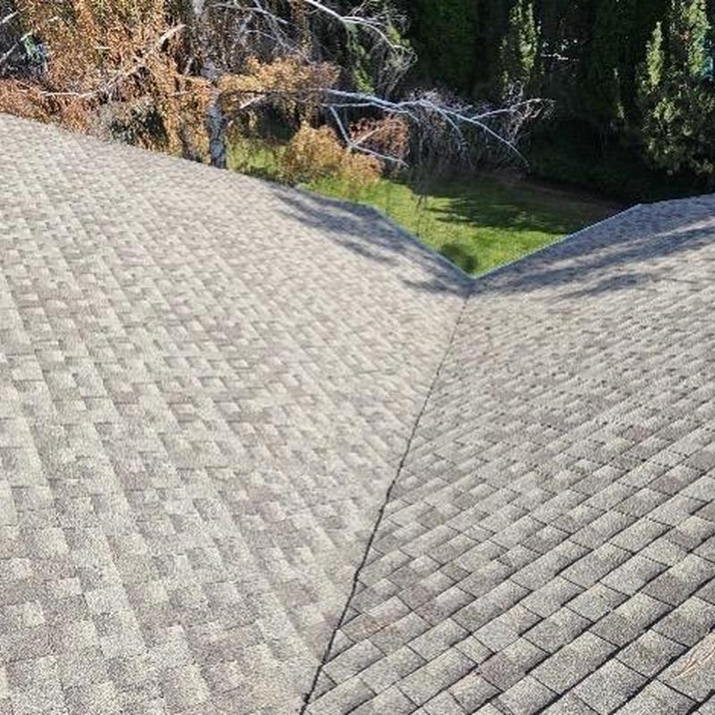 Asphalt shingle roof inspection showing valley area