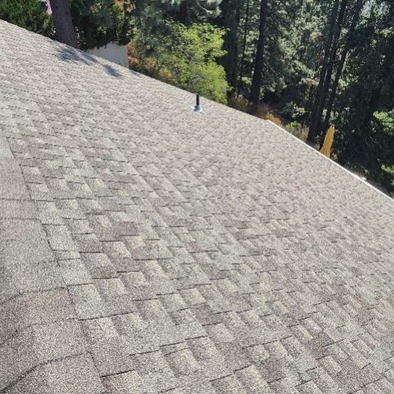 Asphalt shingle roof with vent pipe and forest view