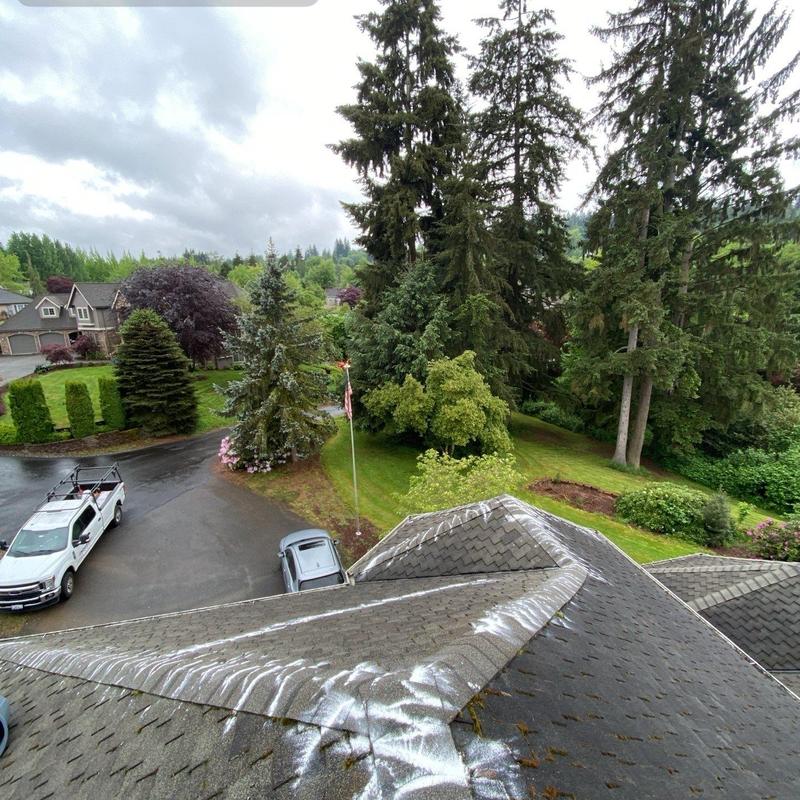 Roof shingles with moss treatment application in Snohomish