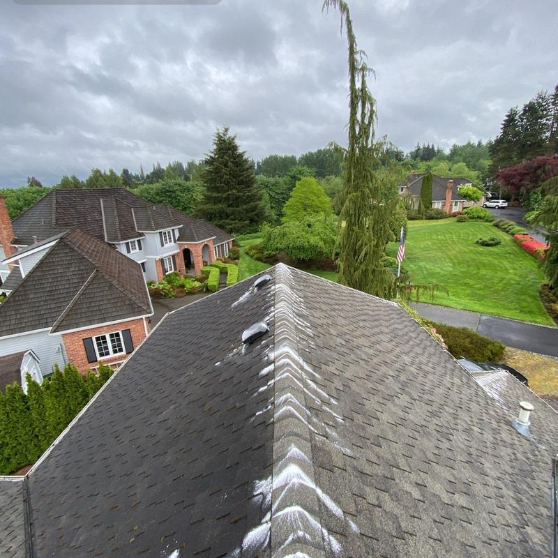 Roof shingles with moss treatment and cleaning in progress