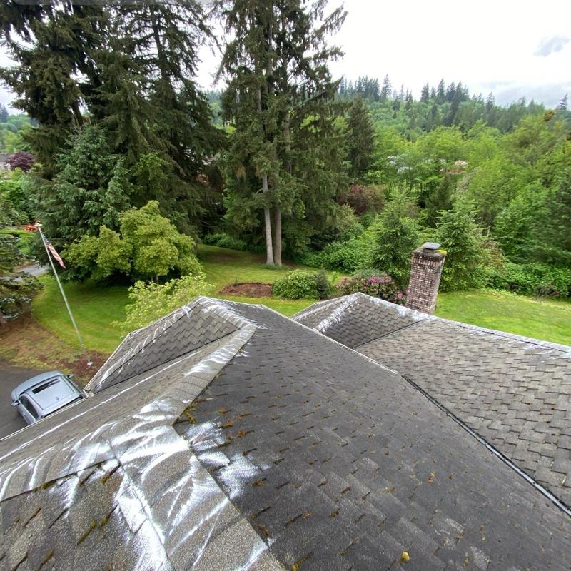 Roof moss treatment and debris cleaning