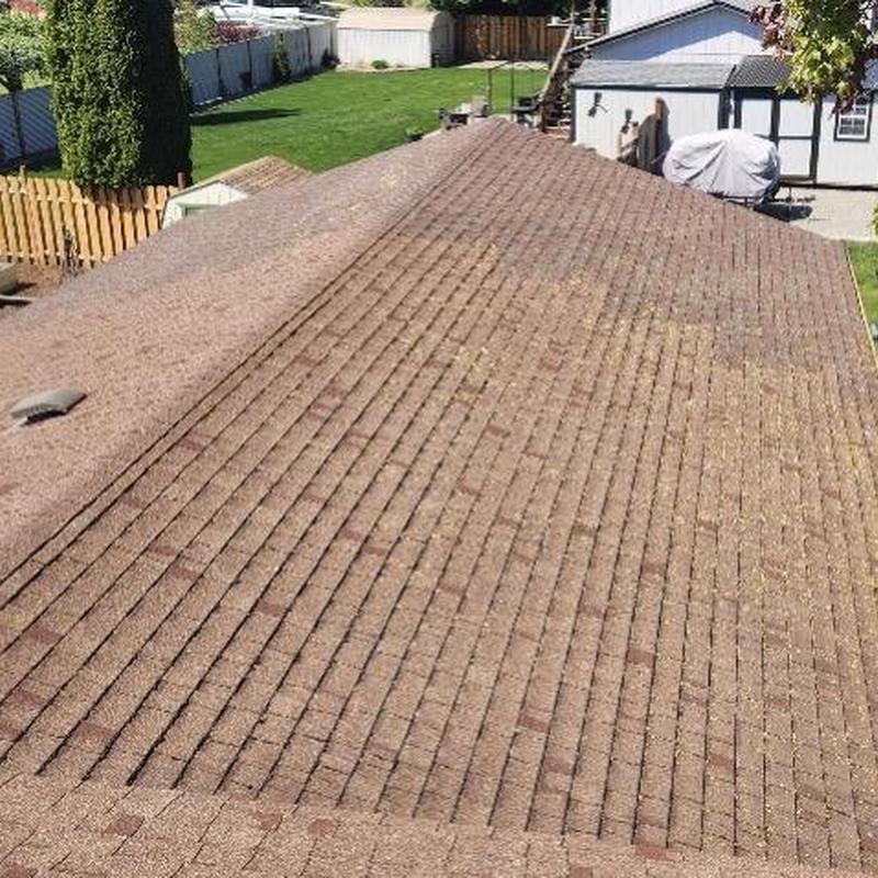 Asphalt shingle roof with aging and discoloration