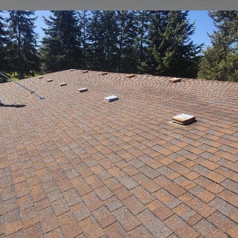 Shingle roof with multiple vent stacks on top Shingle roof with multiple vent stacks on top