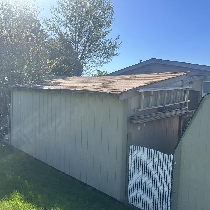 Shed roof with old shingles and damaged fascia Shed roof with old shingles and damaged fascia