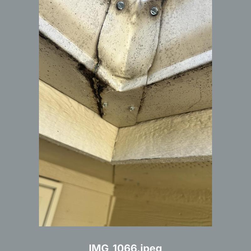 Gutter corner leak with rust and water damage Gutter corner leak with rust and water damage