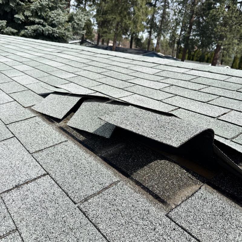 Asphalt shingles lifted and damaged by windstorm on roof