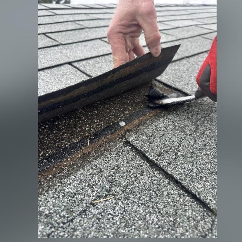 Roof shingles inspection with lifted shingle and tool
