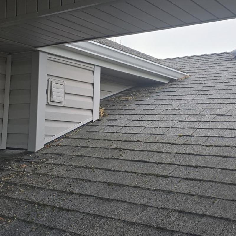 Roof shingles and flashing at dormer edge with debris