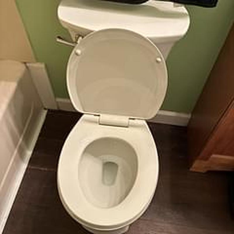Toilet bowl with open lid in bathroom setting