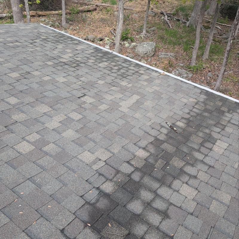 Asphalt shingle roof with dark water stains Asphalt shingle roof with dark water stains