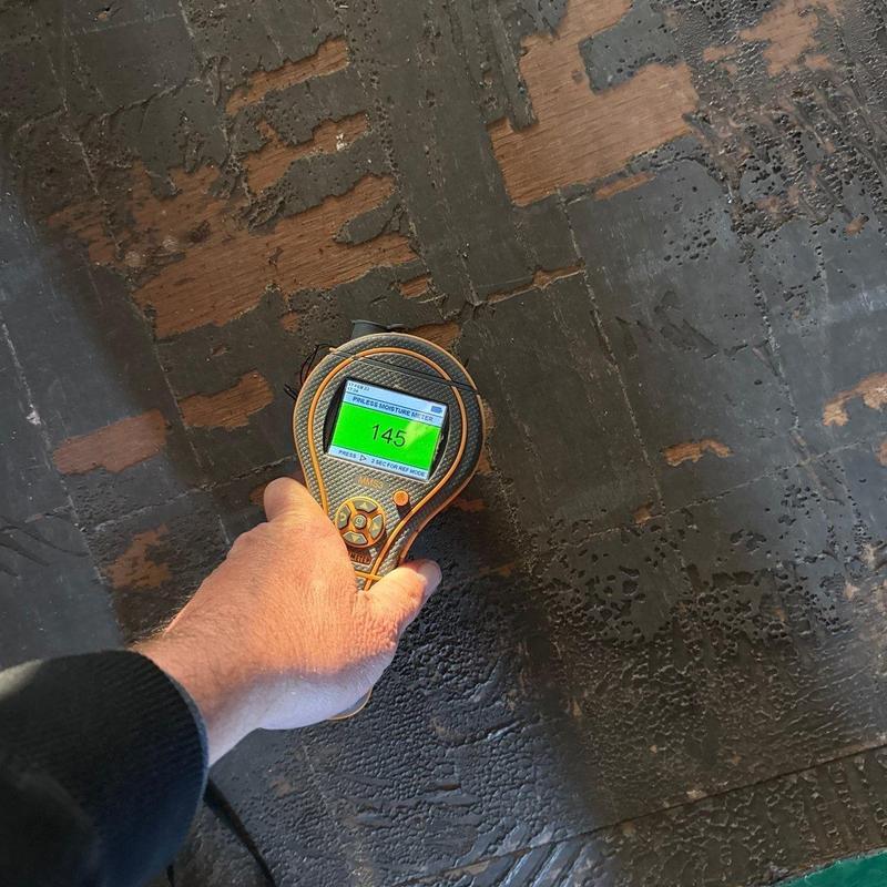 Moisture meter testing on water-damaged subflooring