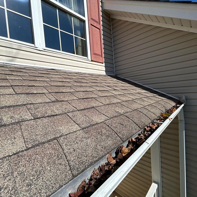 Asphalt shingle roof and gutter with debris buildup