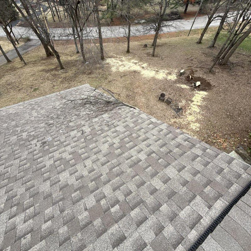 Asphalt shingle roof with debris from tree branch