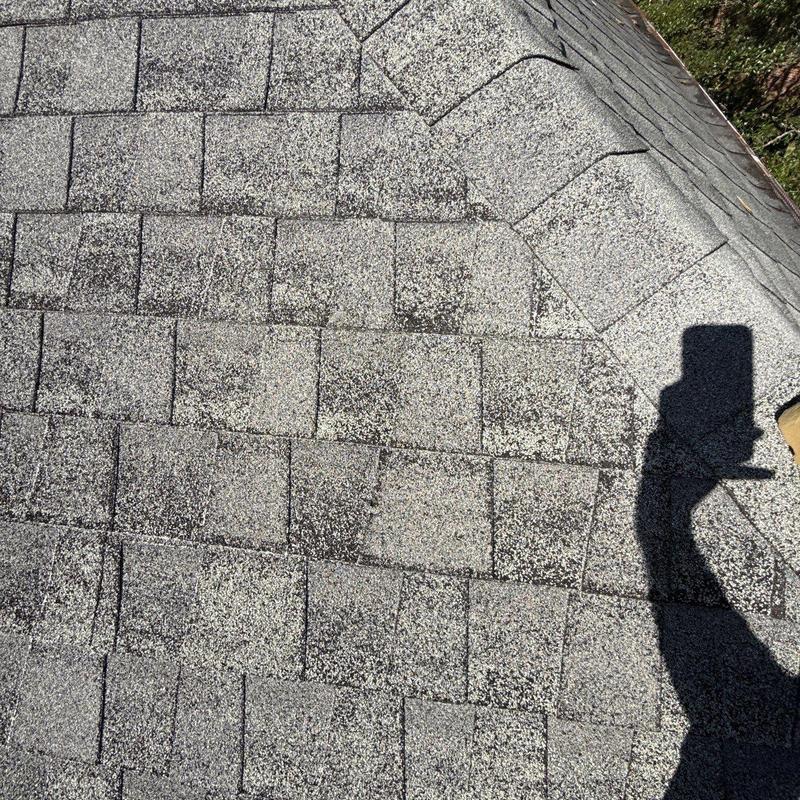 Asphalt shingle roof with visible hail damage