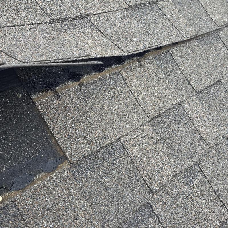 Roof shingles with lifted and damaged sections