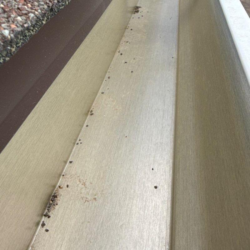 Seamless aluminum gutter with debris buildup