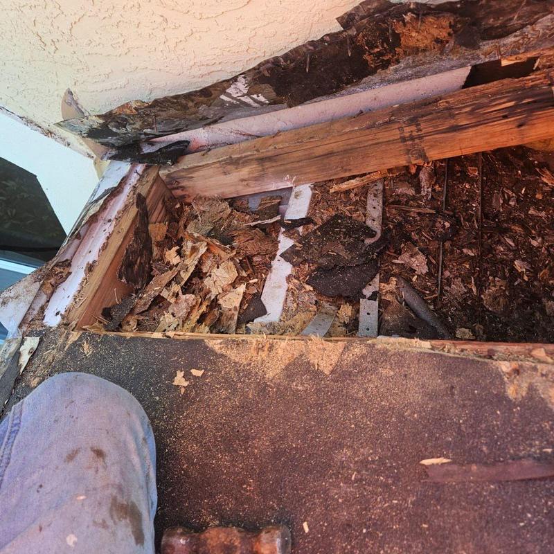 Roof decking with rot damage and underlayment removed Roof decking with rot damage and underlayment removed