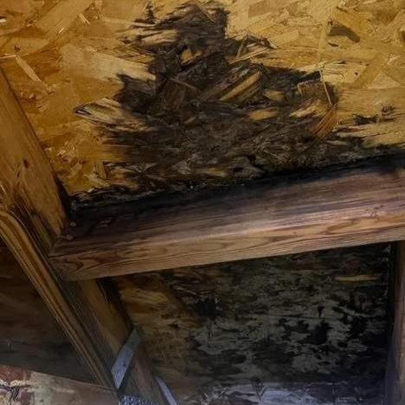Rotted roof decking with water damage inside attic Rotted roof decking with water damage inside attic