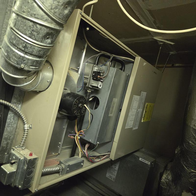 Furnace interior and blower motor with wiring system