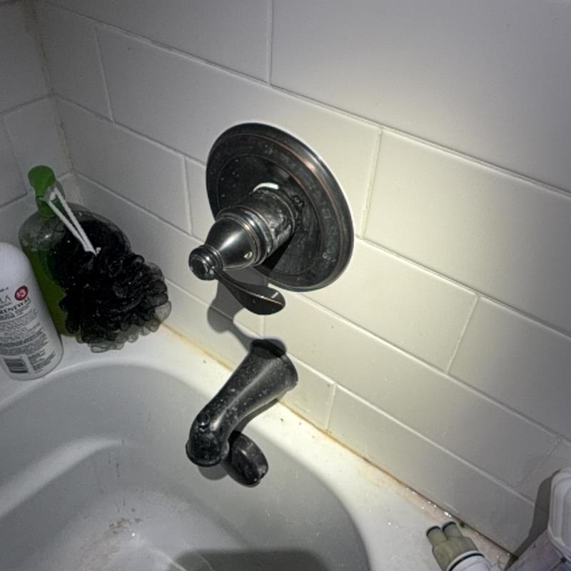 Delta One 1600 series shower cartridge and faucet assembly