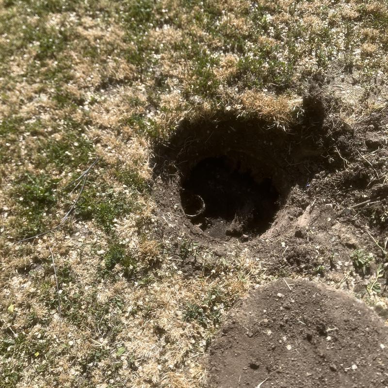 Septic tank opening in dry yard with removed cover