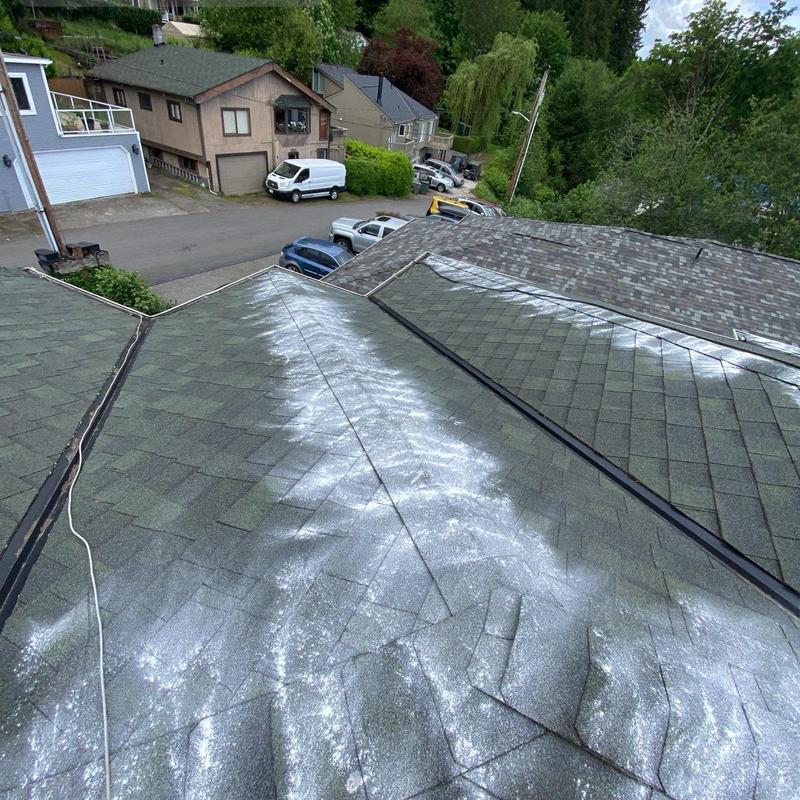 Roof shingles with white moss treatment applied