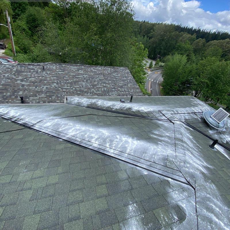 Roof moss treatment application on shingle roof