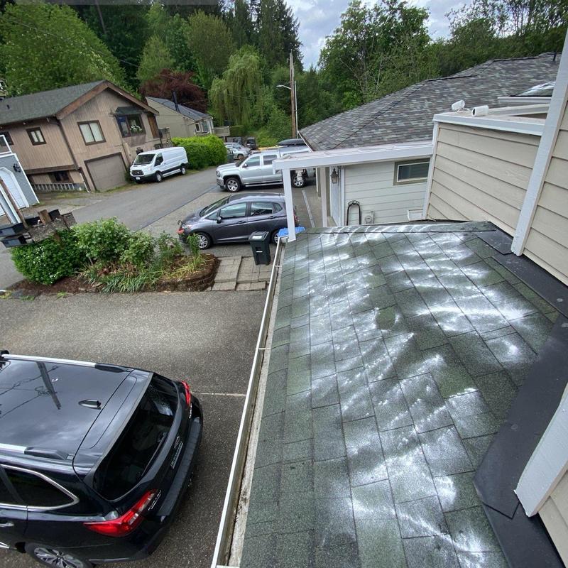Roof shingles with moss treatment application in progress