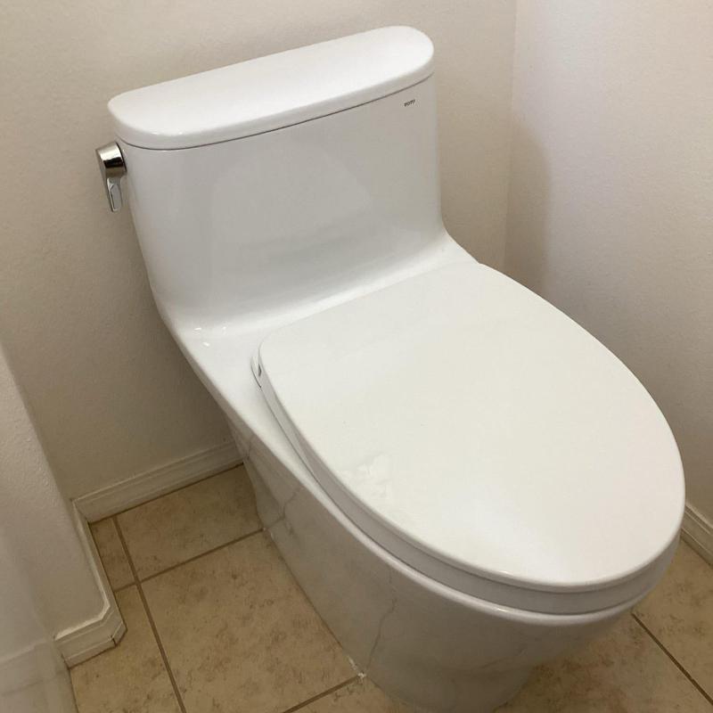 One-piece toilet installation with new wax ring and bolts