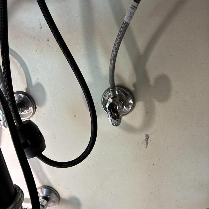 Kitchen angle stop valves with supply lines installed Kitchen angle stop valves with supply lines installed