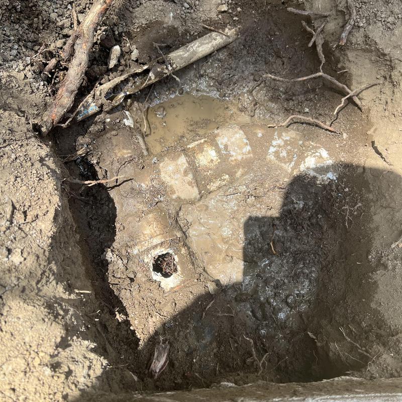 Storm drain pipe with root intrusion in muddy soil