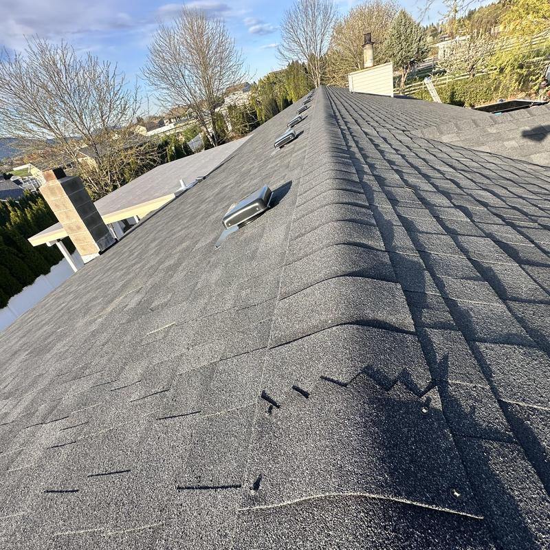 Asphalt shingles on residential roof with vent caps Asphalt shingles on residential roof with vent caps