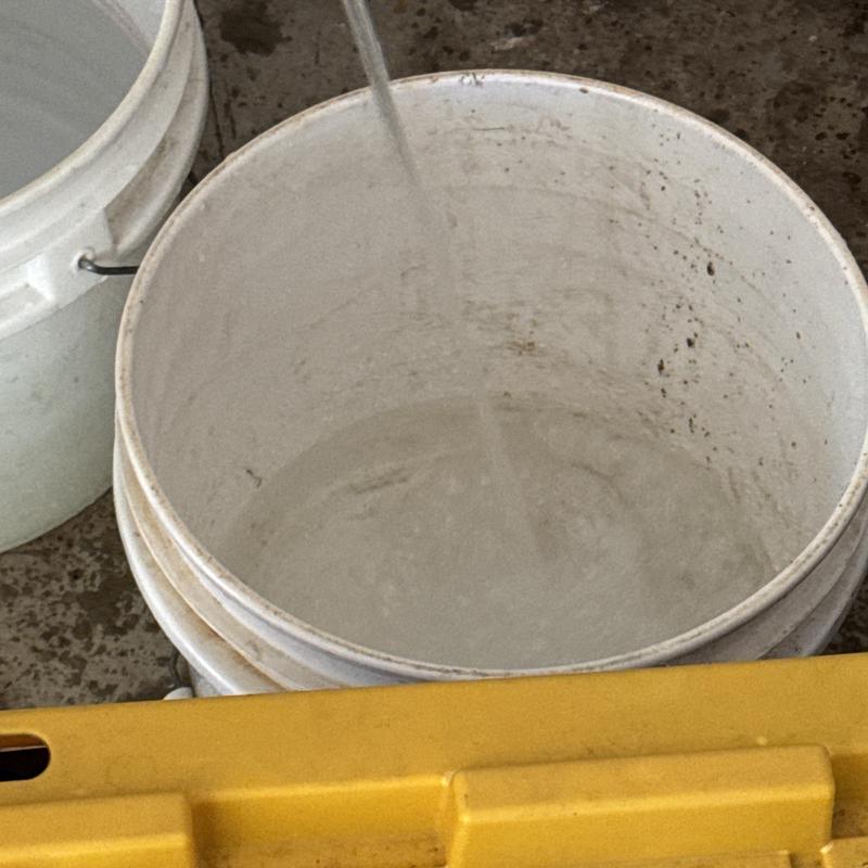 Bucket filling with water during tankless water heater maintenance Bucket filling with water during tankless water heater maintenance
