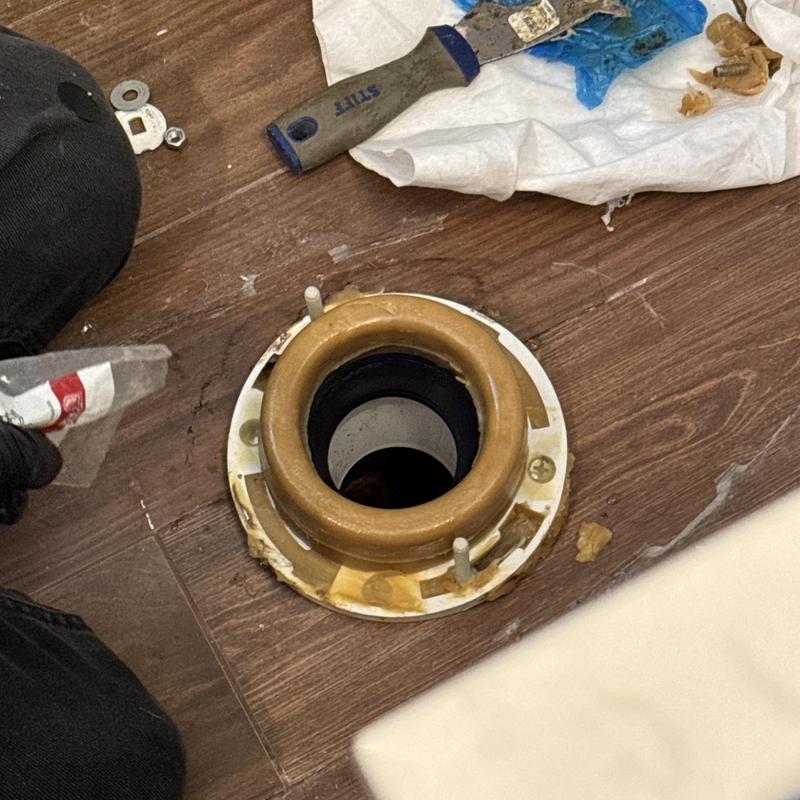 Wax ring and toilet flange on hardwood floor during replacement Wax ring and toilet flange on hardwood floor during replacement