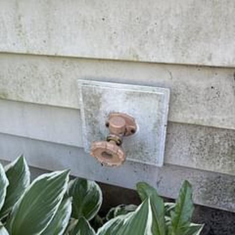 Hose bib with wall plate on house exterior
