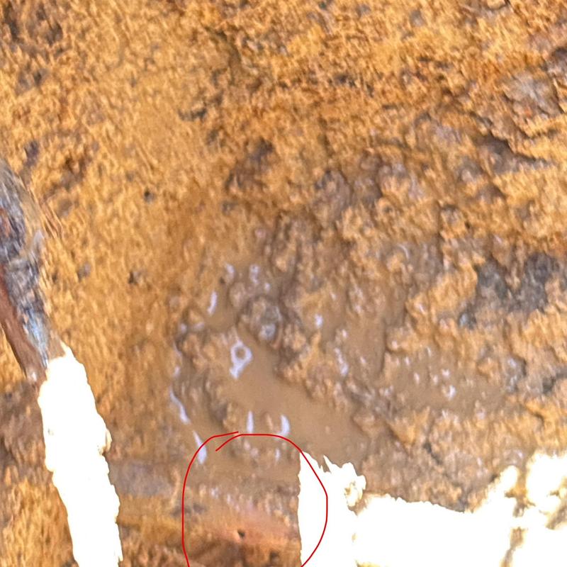 Copper main waterline with mud around leak area Copper main waterline with mud around leak area