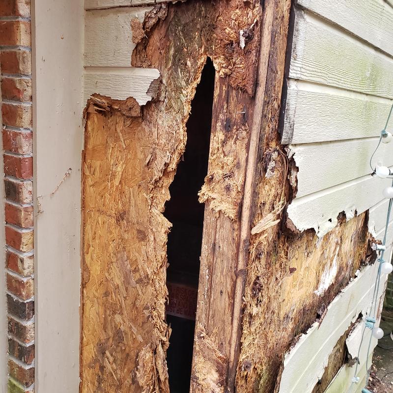Wood siding and sheathing damage from rot near brick wall