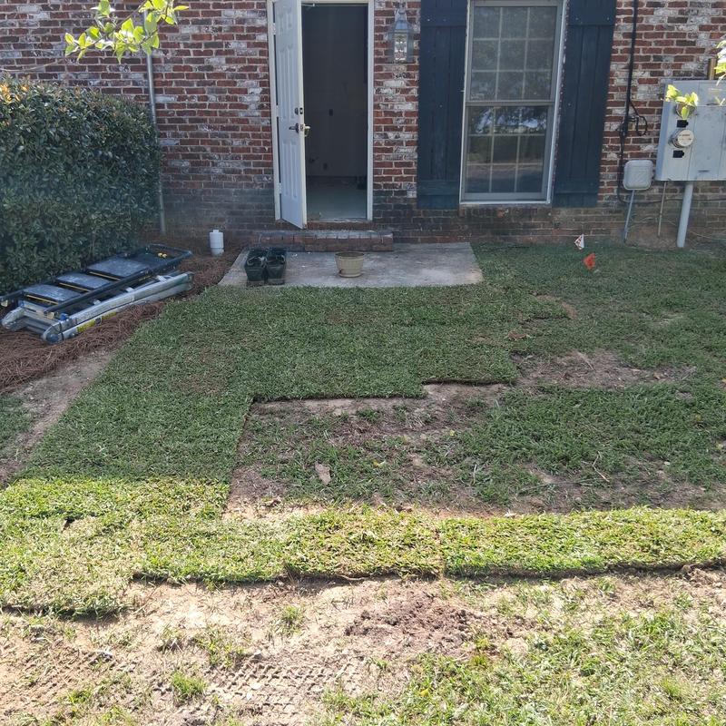 Sod grass replacement over plumbing excavation site
