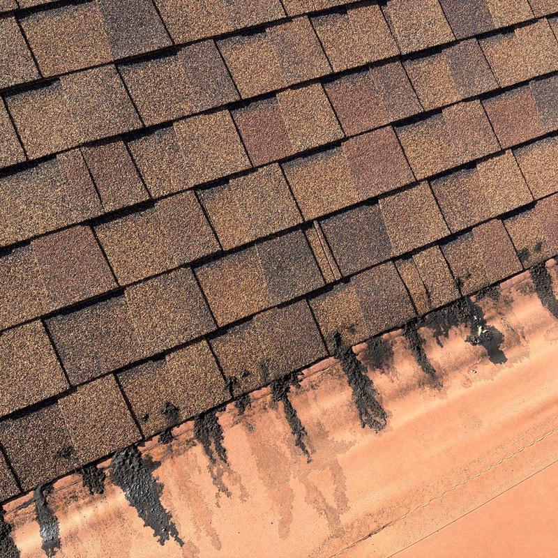 Asphalt shingles with hail and granule loss damage